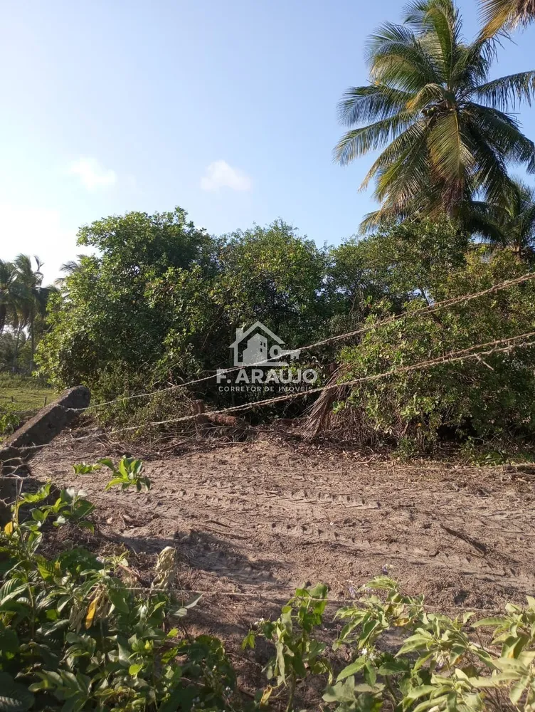 Terreno, 7000 m² - Foto 10