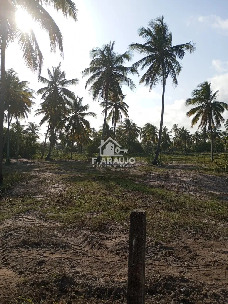 Terreno, 7000 m² - Foto 6