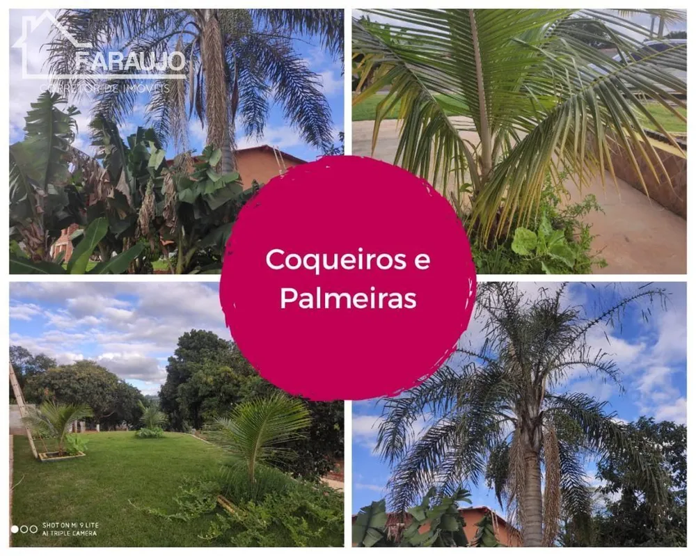 Chácara, 6 quartos, 5000 m² - Foto 9