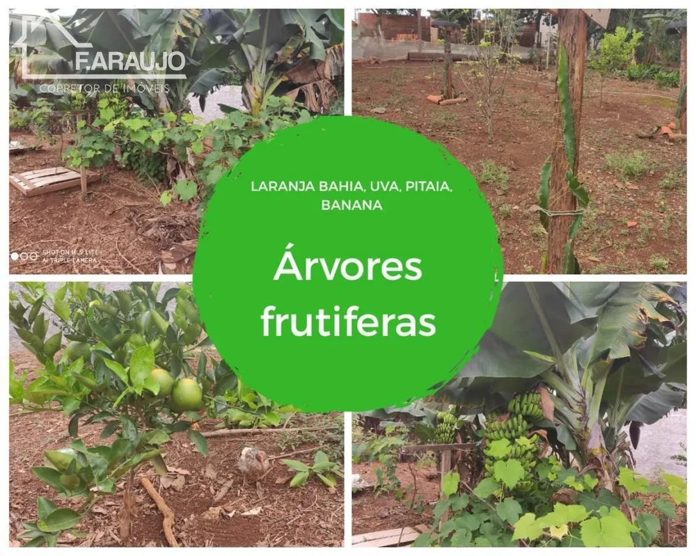 Chácara, 6 quartos, 5000 m² - Foto 10