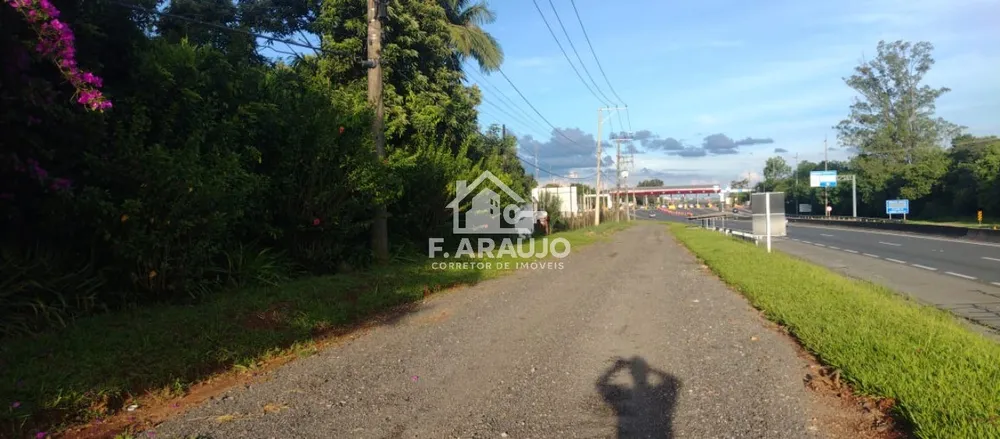 Chácara, 3 quartos, 2800 m² - Foto 10