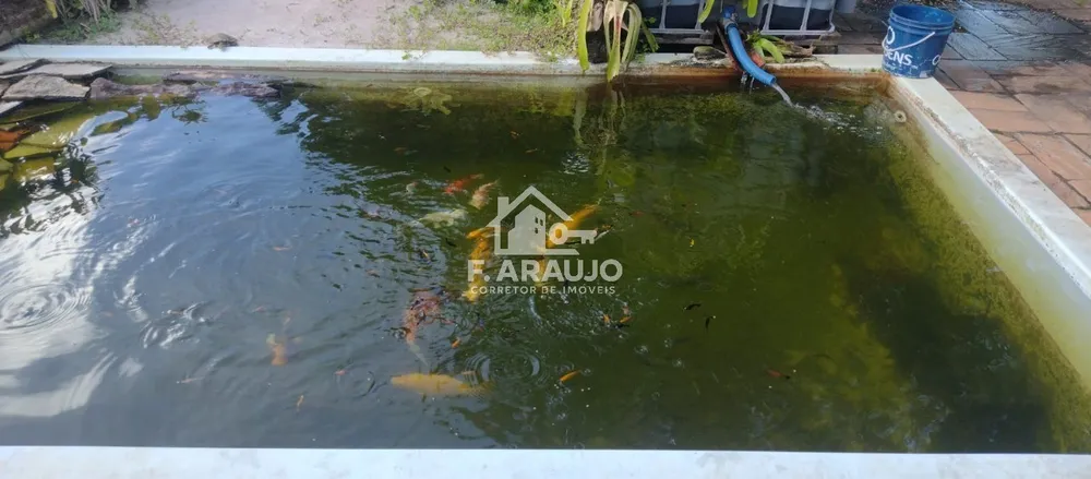 Chácara, 3 quartos, 2800 m² - Foto 6