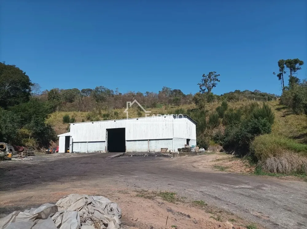 Sítio, 5 quartos, 3 hectares - Foto 4