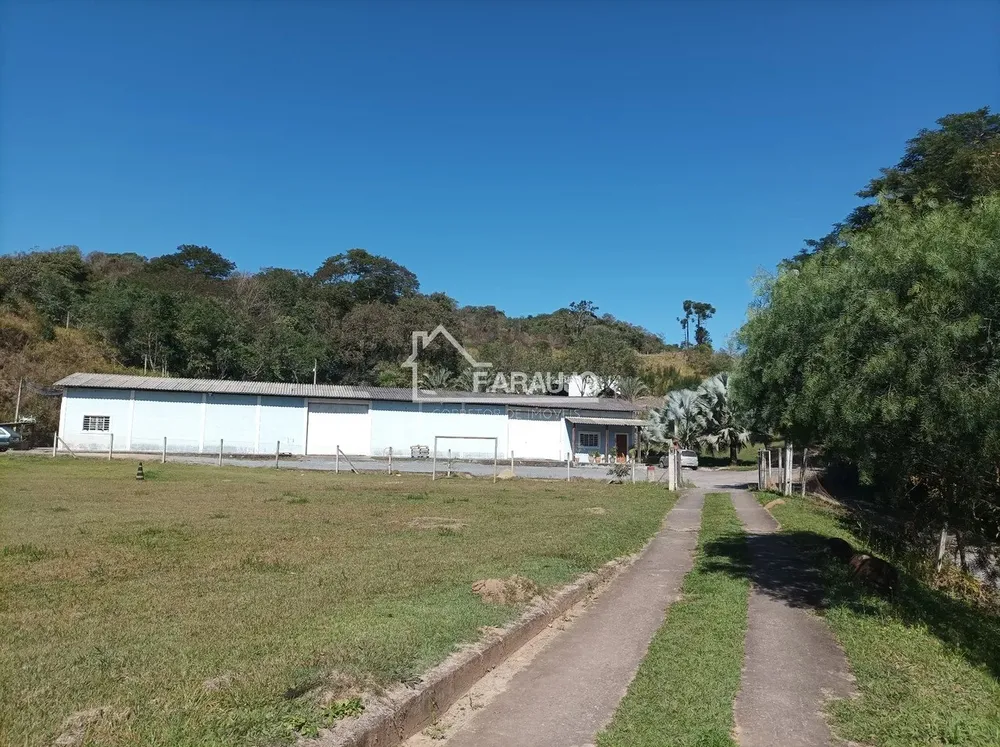 Sítio, 5 quartos, 3 hectares - Foto 8