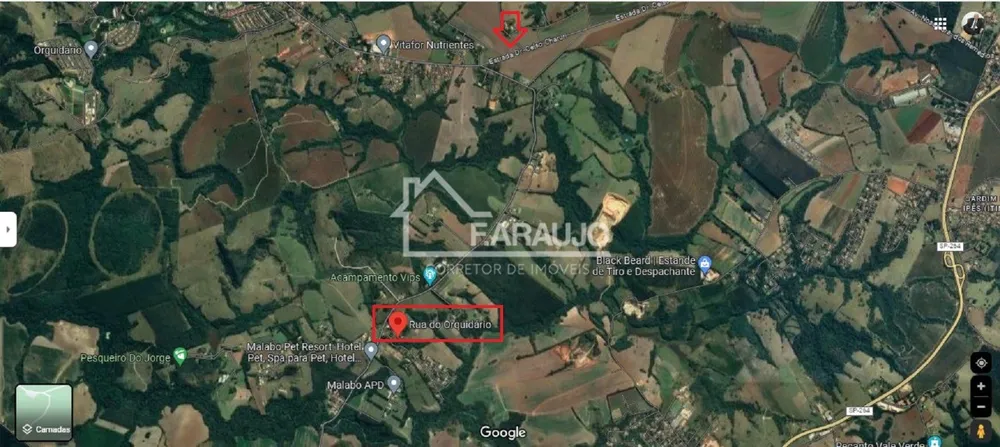 Chácara, 4 quartos, 4000 m² - Foto 6