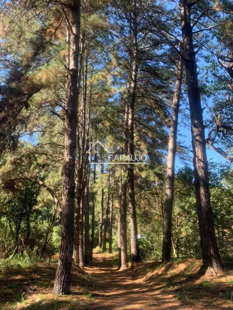 Sítio, 6 quartos, 1 hectares - Foto 12