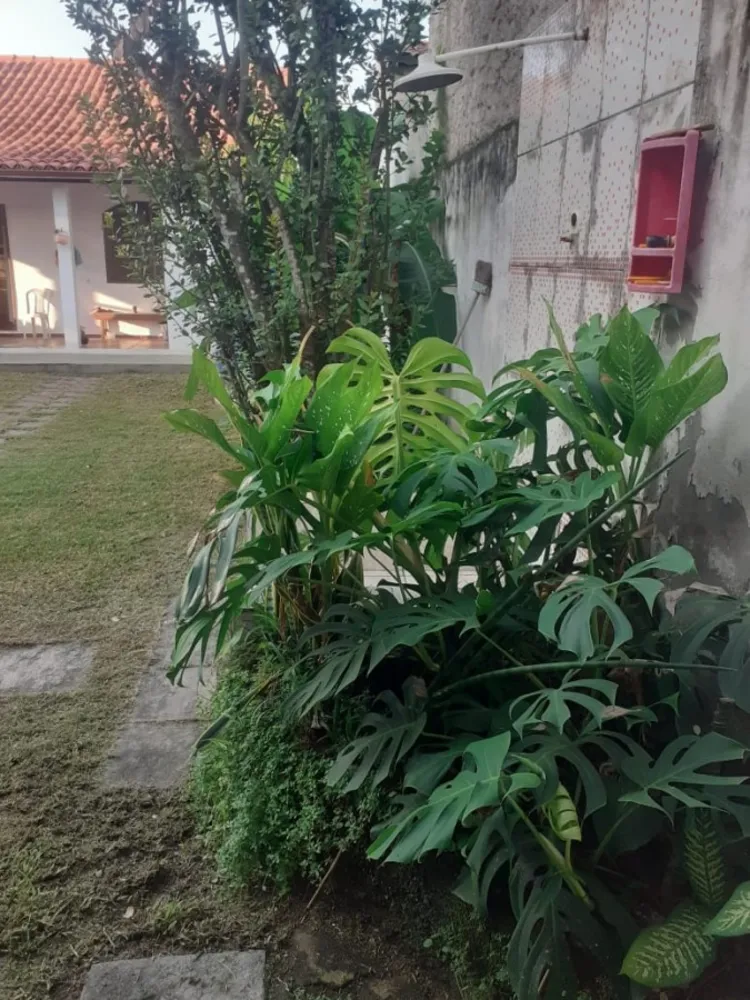 Casa, 3 quartos - Foto 31