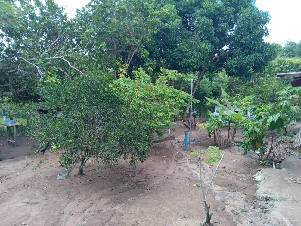 Chácara, 2 quartos, 3094 m² - Foto 2