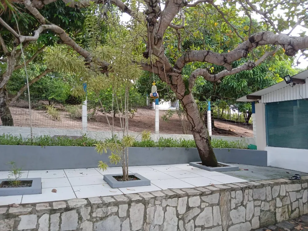 Chácara, 2 quartos, 3094 m² - Foto 6