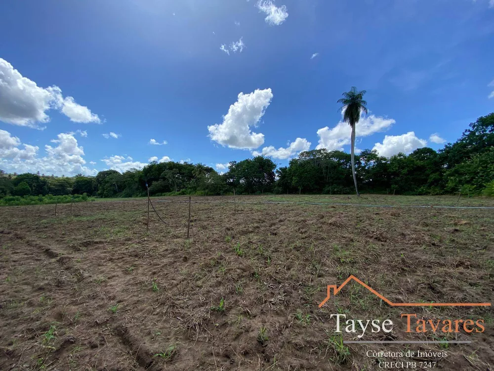 Fazenda à venda com 3 quartos, 16m² - Foto 3