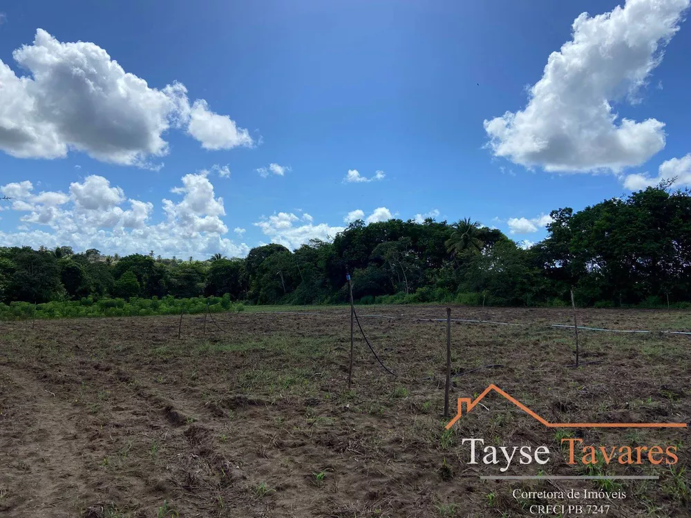 Fazenda à venda com 3 quartos, 16m² - Foto 5