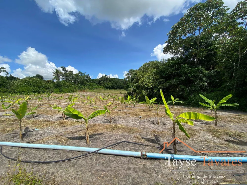 Fazenda à venda com 3 quartos, 16m² - Foto 7