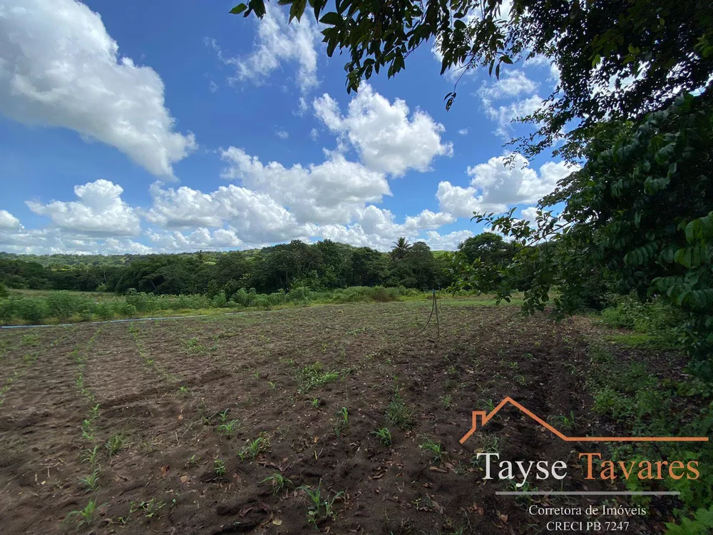 Fazenda à venda com 3 quartos, 16m² - Foto 4