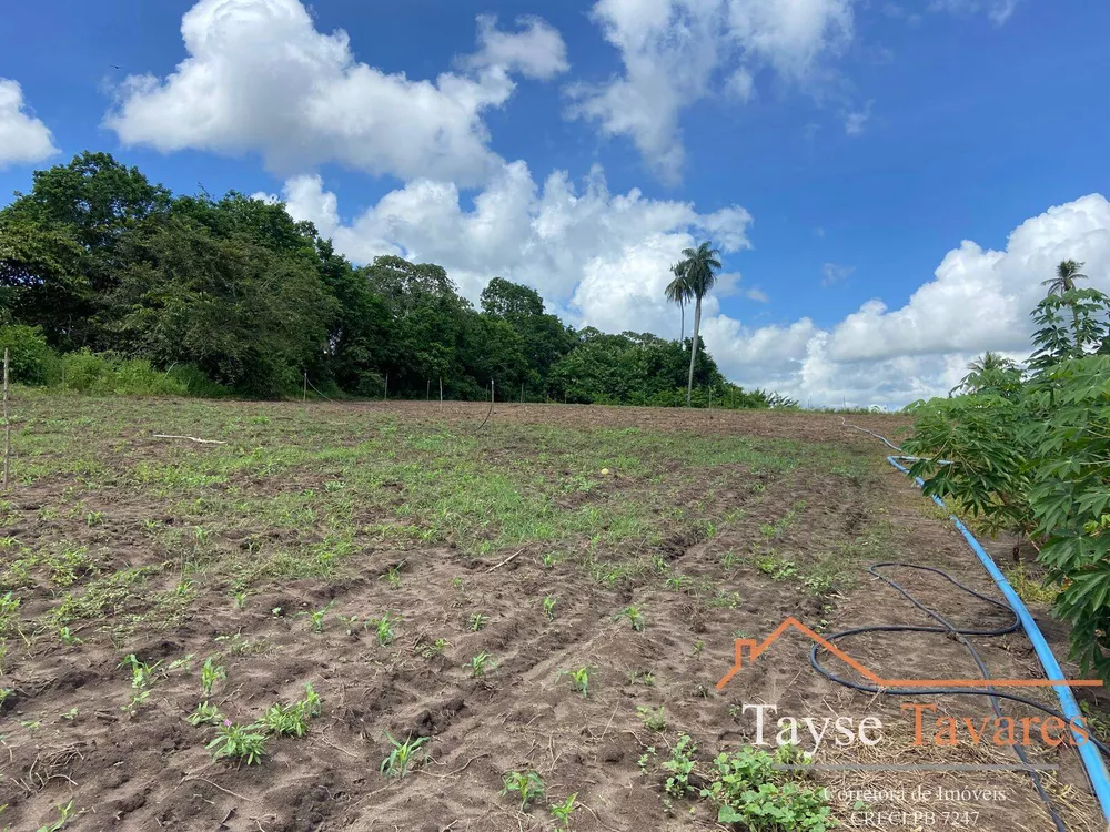 Fazenda à venda com 3 quartos, 16m² - Foto 6