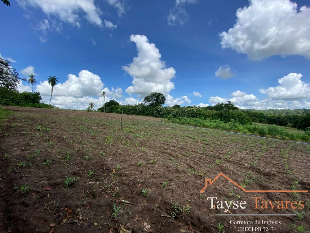 Fazenda à venda com 3 quartos, 16m² - Foto 2