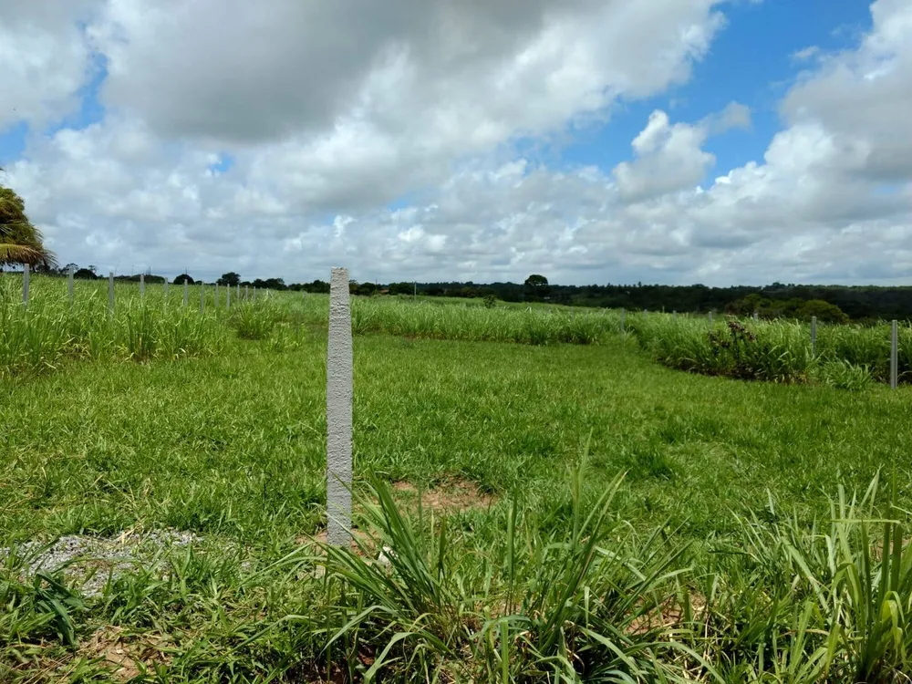 Terreno, 1000 m² - Foto 3