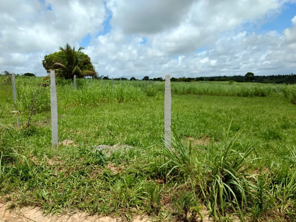 Terreno, 1000 m² - Foto 2