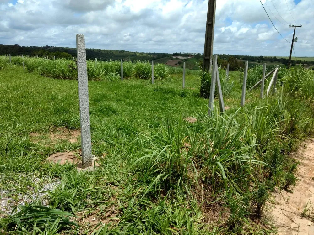 Terreno, 1000 m² - Foto 6