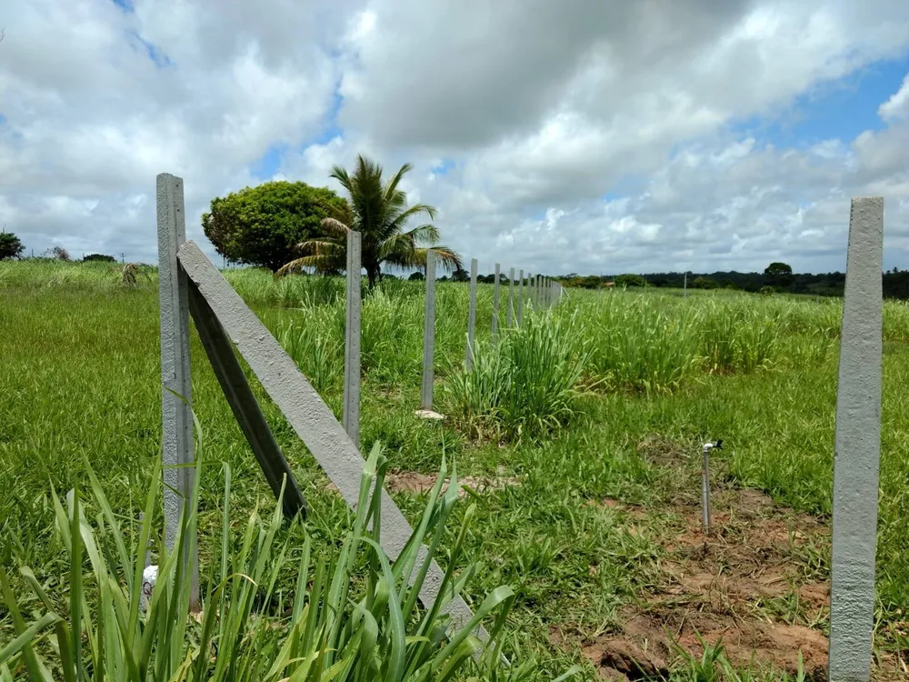 Terreno, 1000 m² - Foto 4