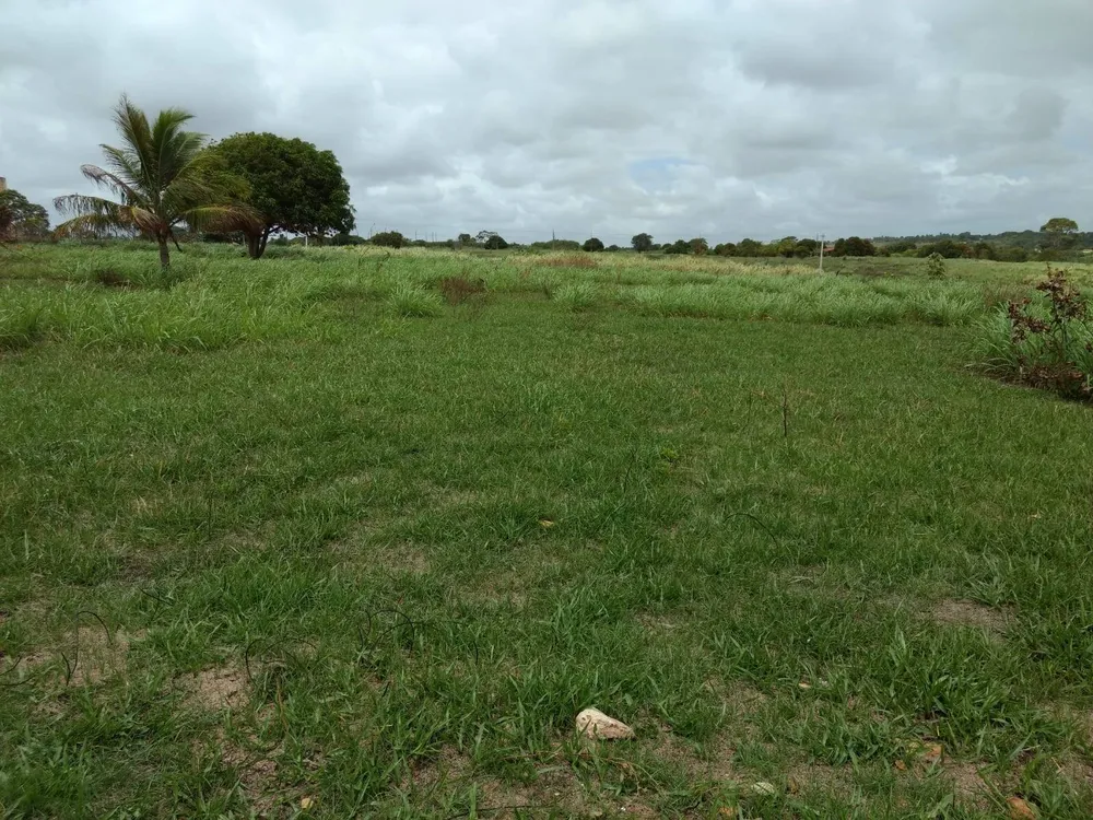 Terreno, 1000 m² - Foto 5