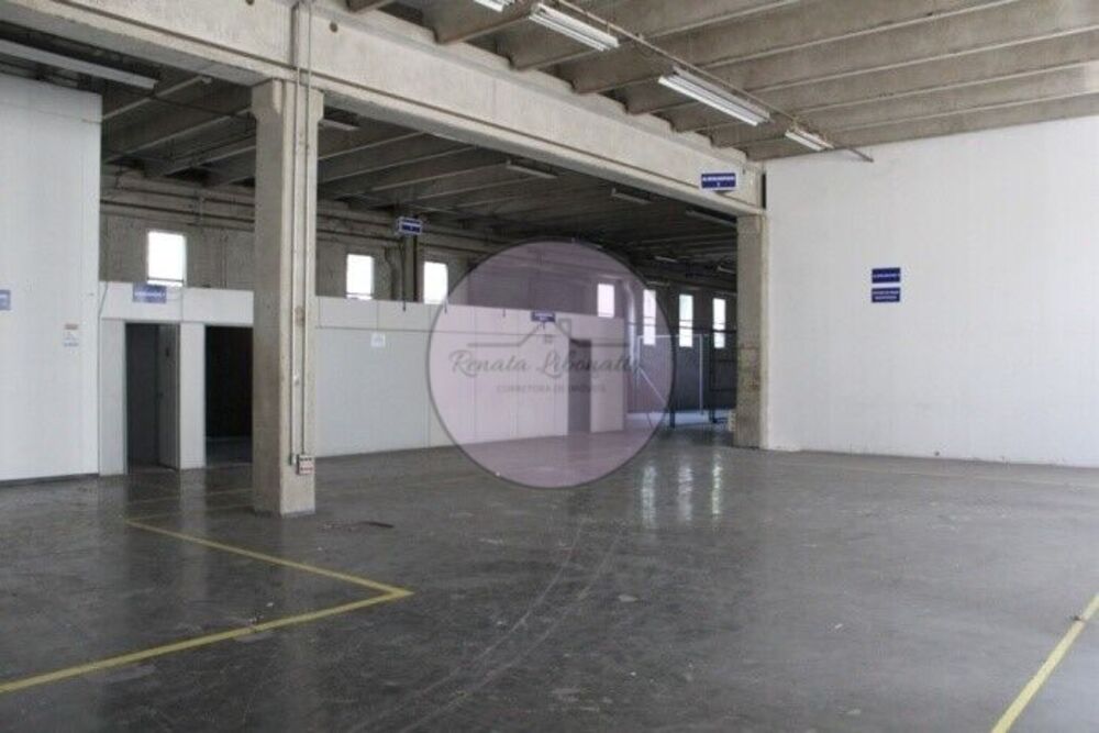 Depósito-Galpão, 2194 m² - Foto 12