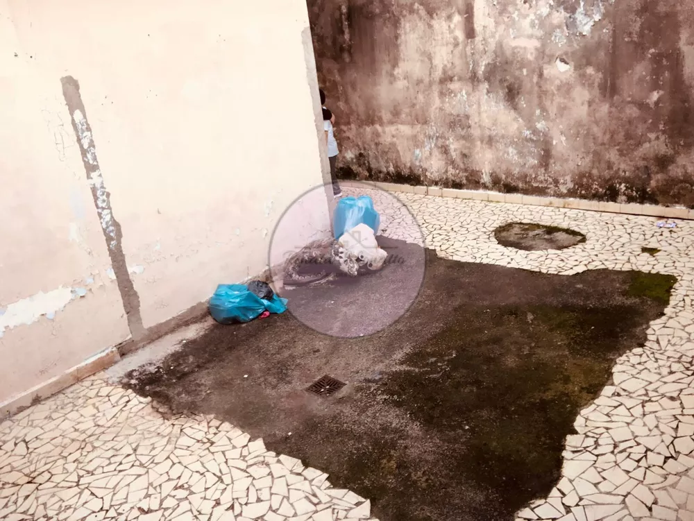 Casa, 3 quartos, 154 m² - Foto 33