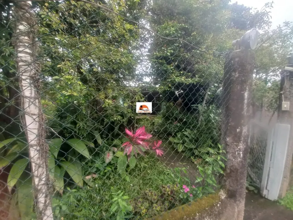 Terreno, 3264 m² - Foto 5