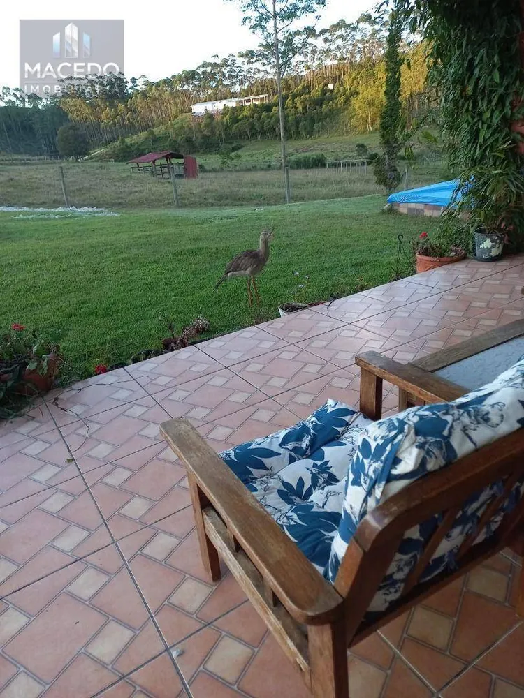 Chácara, 3 quartos, 4 hectares - Foto 3