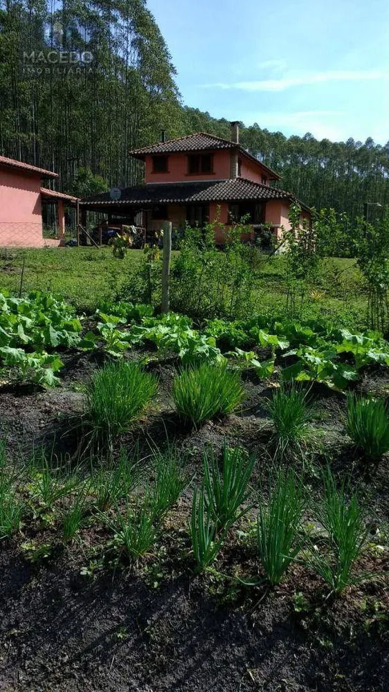 Chácara, 3 quartos, 4 hectares - Foto 6