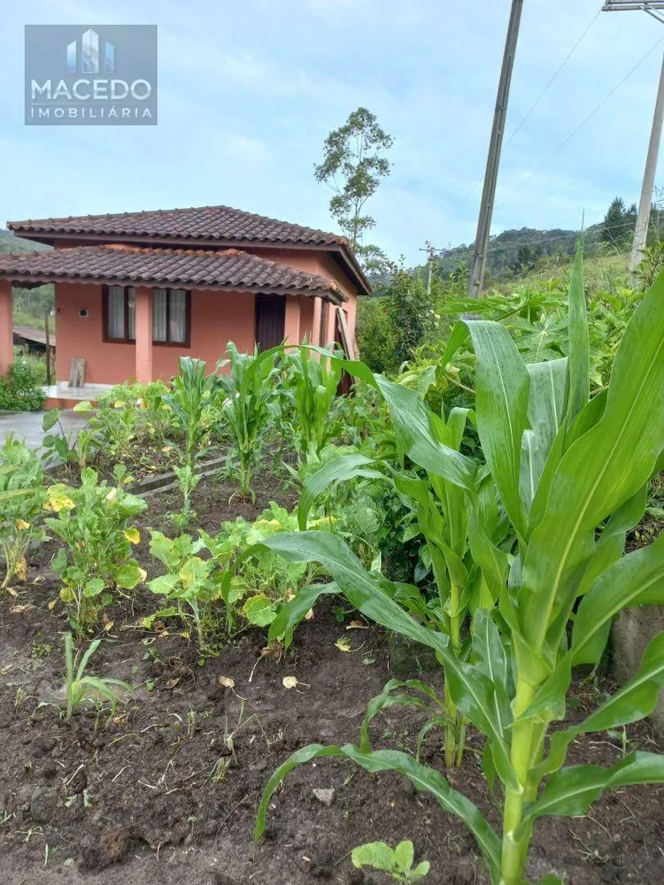 Chácara, 3 quartos, 4 hectares - Foto 12