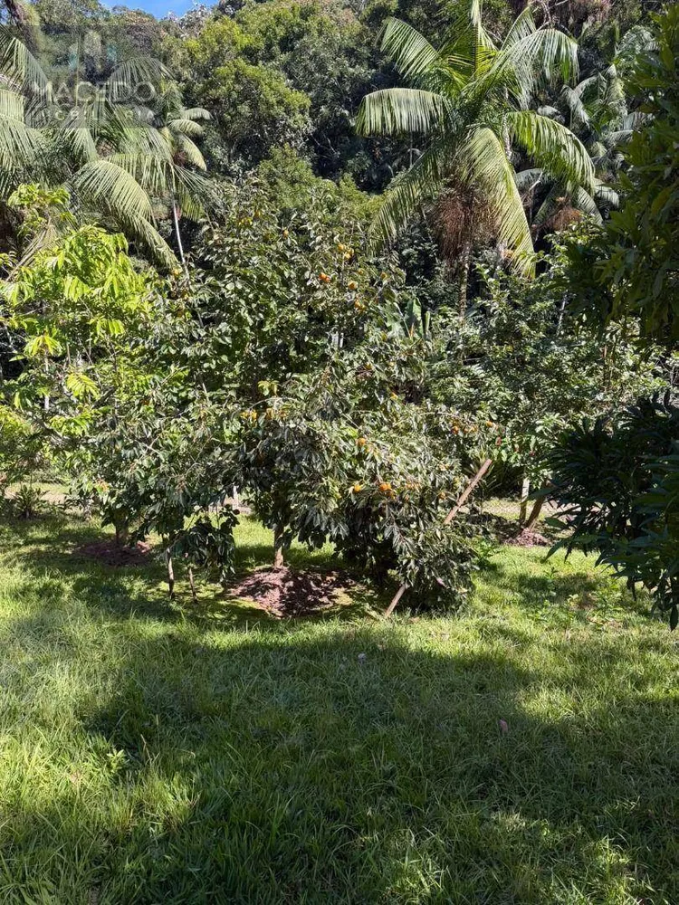 Chácara, 2 hectares - Foto 7