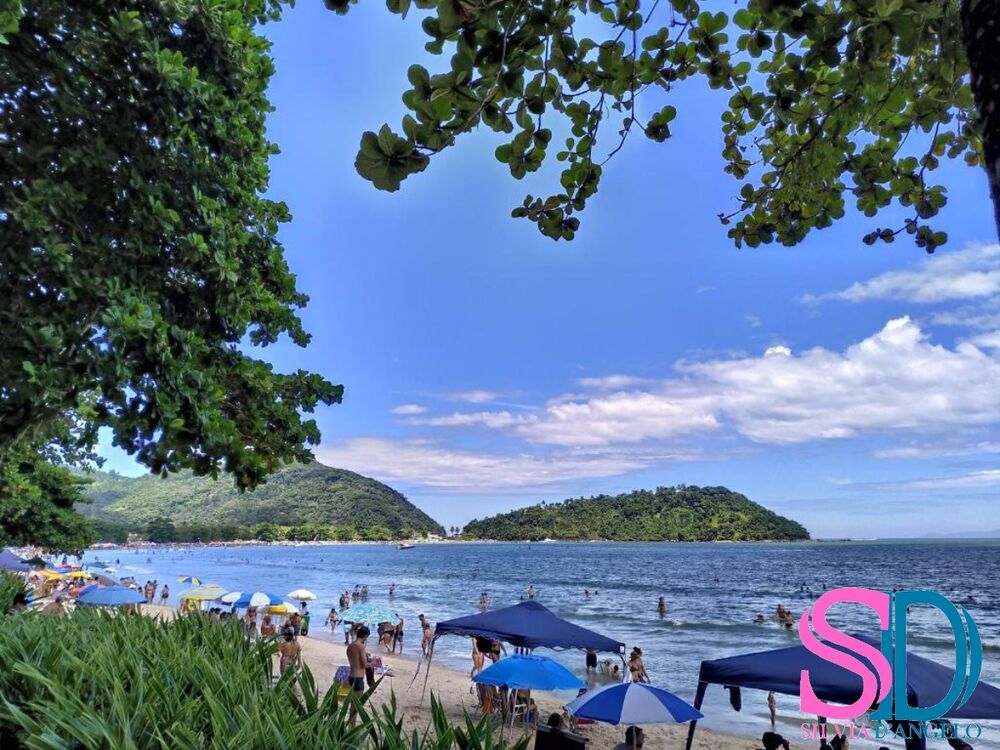 Loja-Salão, 202 m² - Foto 14