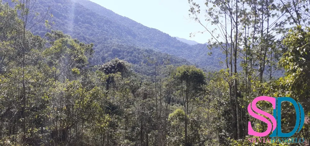 Terreno, 1 hectares - Foto 1