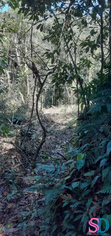 Terreno, 1 hectares - Foto 7