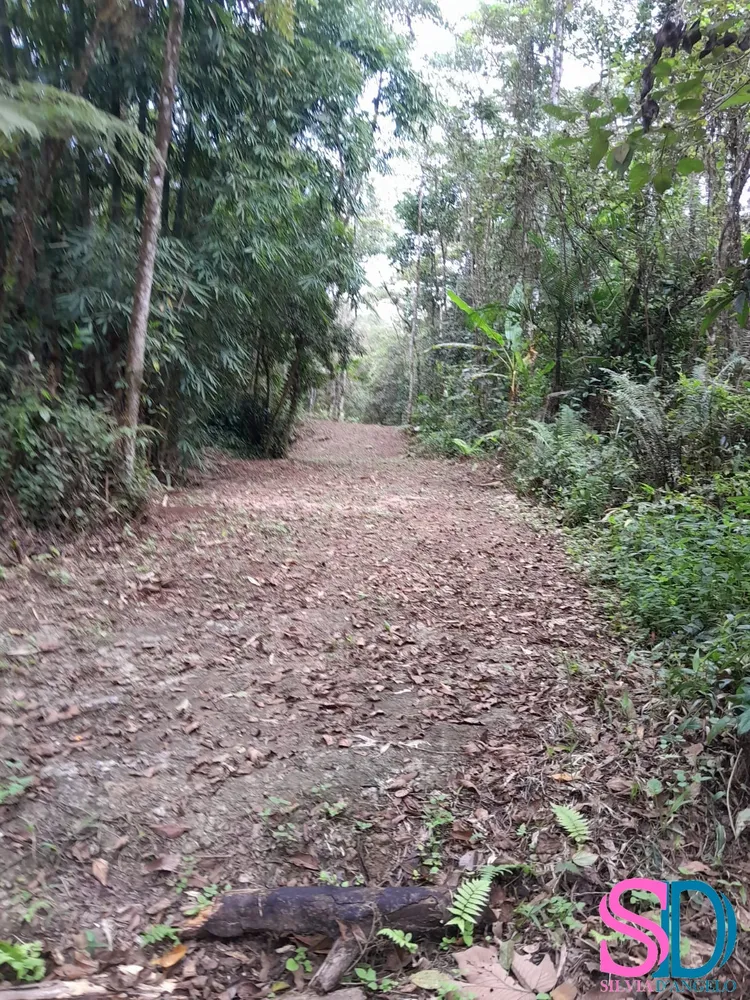 Terreno, 1 hectares - Foto 13