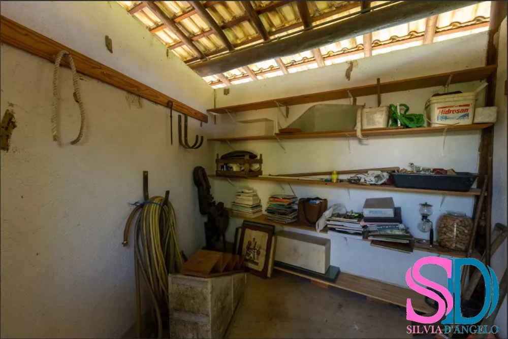 Casa, 3 quartos, 481 m² - Foto 21