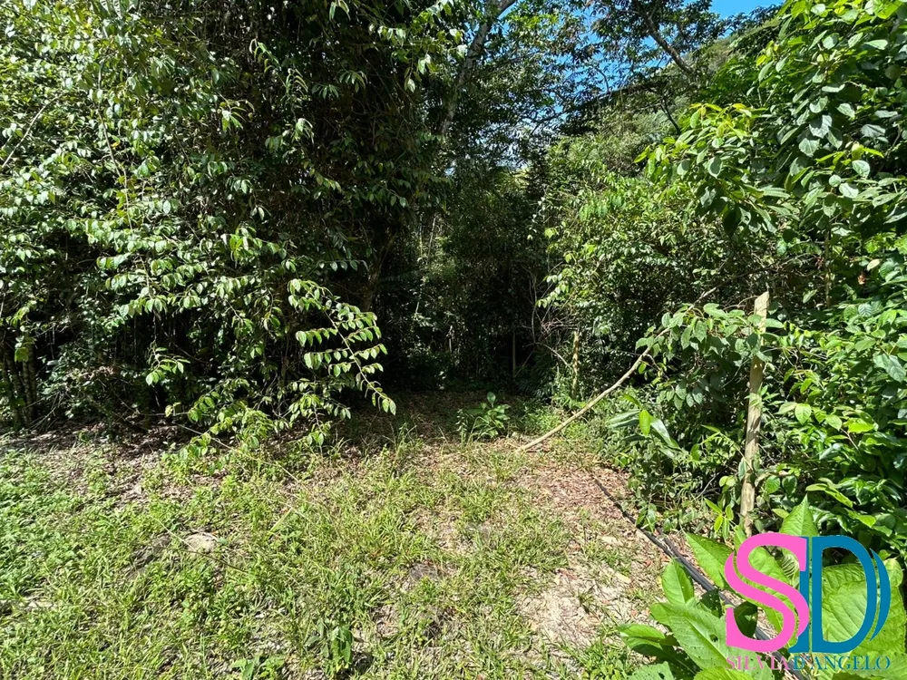 Terreno, 1500 m² - Foto 2