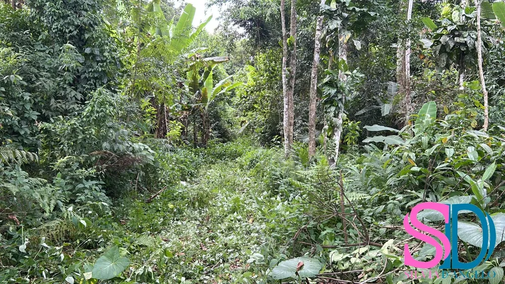 Terreno, 300 m² - Foto 1