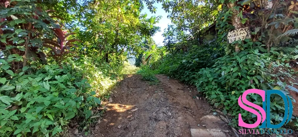 Terreno, 247 m² - Foto 3