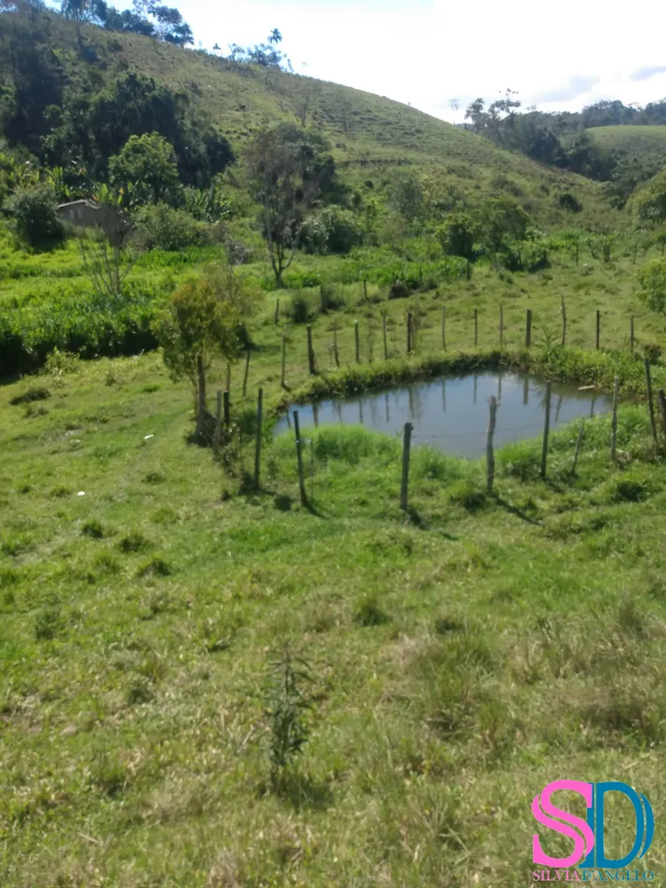 Sítio, 2 quartos, 10 hectares - Foto 3
