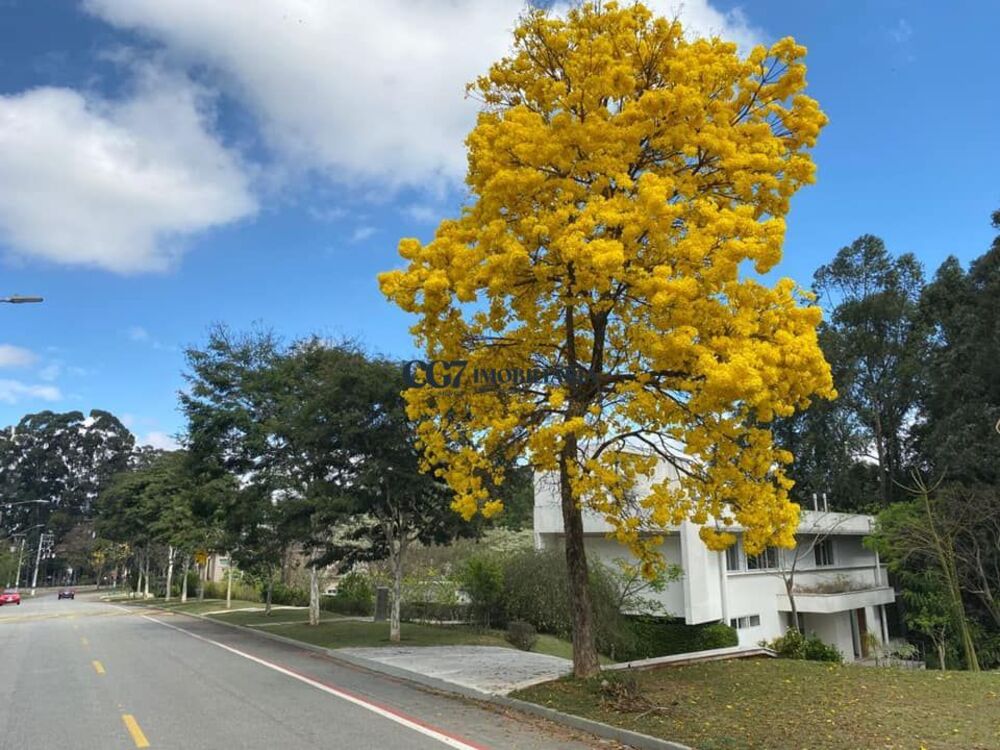 Sobrado para alugar com 4 quartos, 900m² - Foto 15
