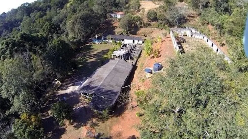 Terreno, 10000 m² - Foto 7