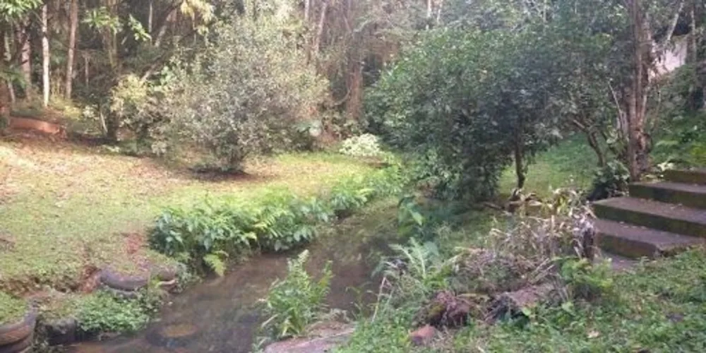 Terreno, 10000 m² - Foto 2