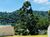 Terreno, 560 m² - Foto 3