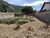Terreno - Foto 5