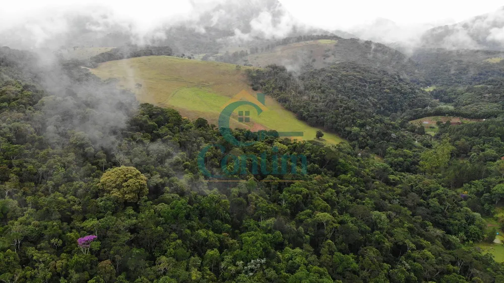 Fazenda, 87 hectares - Foto 4