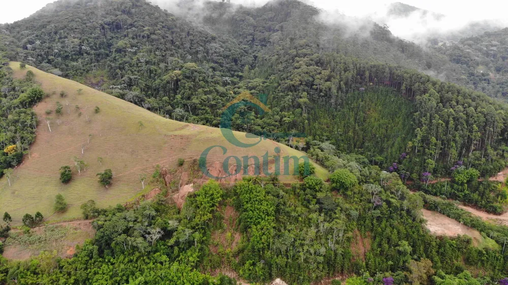 Fazenda, 87 hectares - Foto 6