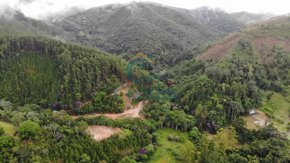 Fazenda, 87 hectares - Foto 7