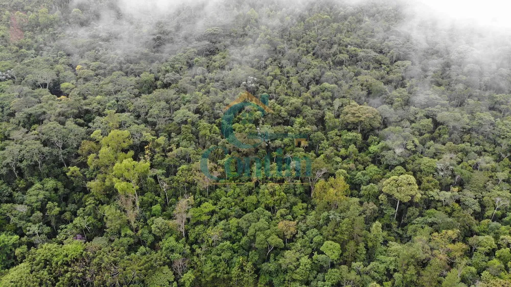 Fazenda, 87 hectares - Foto 2