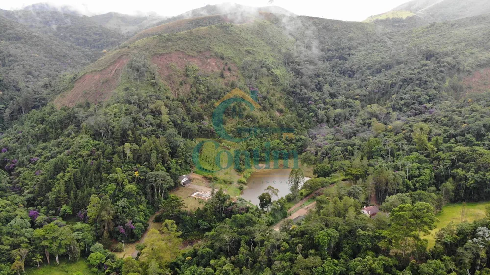 Fazenda, 87 hectares - Foto 8